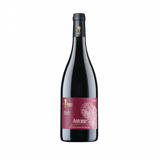 seahorse <br>antoine 2021<br>