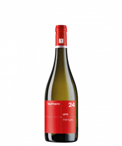 kaufmann <br>uno 2024<br><br>