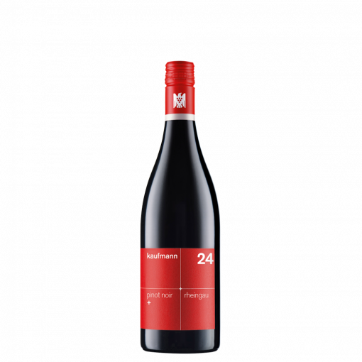 kaufmann <br>pinot noir + 2024<br><br>