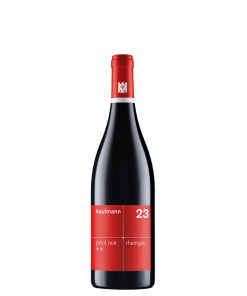 kaufmann <br> pinot noir ++ 2023 <br><br>