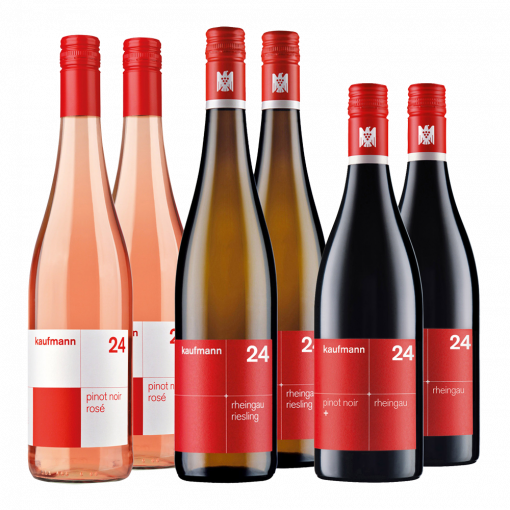 kaufmann<br>kennenlernpaket I<br>