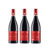 paket pinotliebe<br>