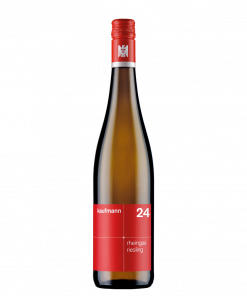kaufmann <br>rheingau riesling 2024<br>