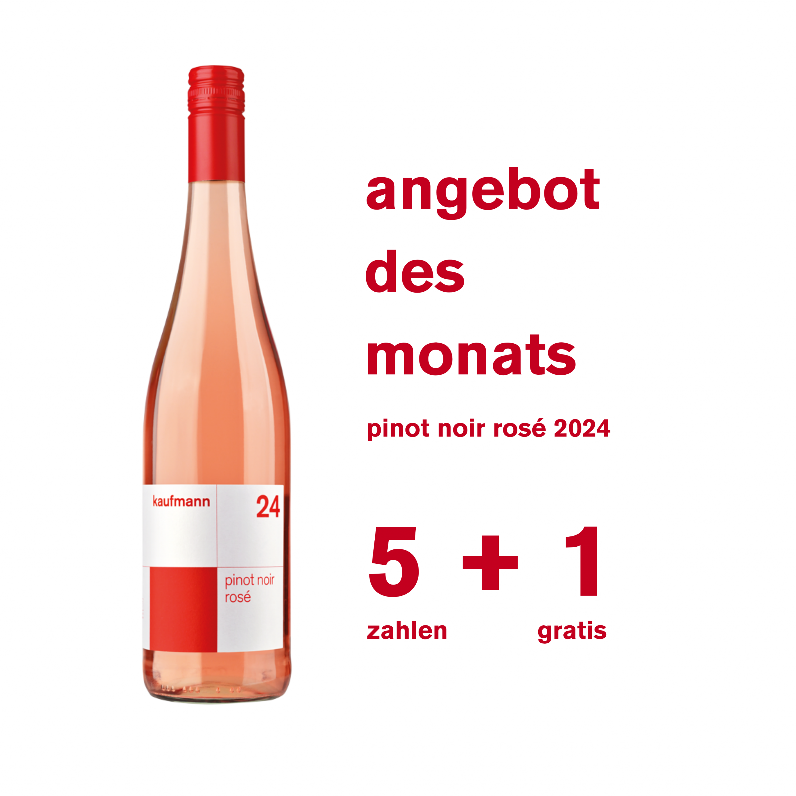 kaufmann <br>rosé 2024<br>angebot 5+1