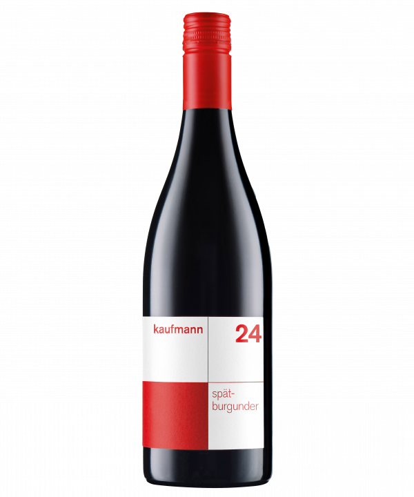 kaufmann <br>Spätburgunder 2024<br><br>