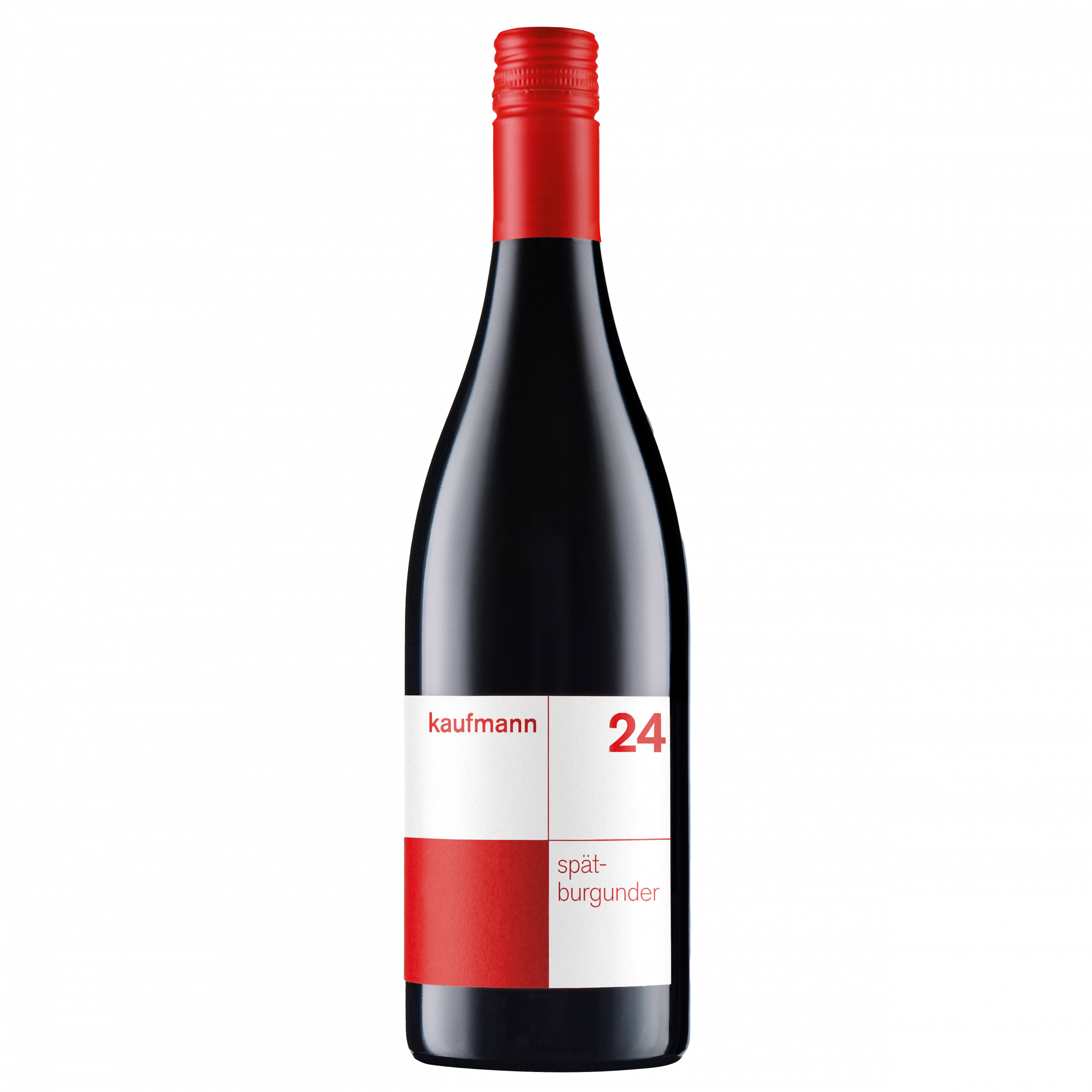 kaufmann <br>Spätburgunder 2024<br><br>